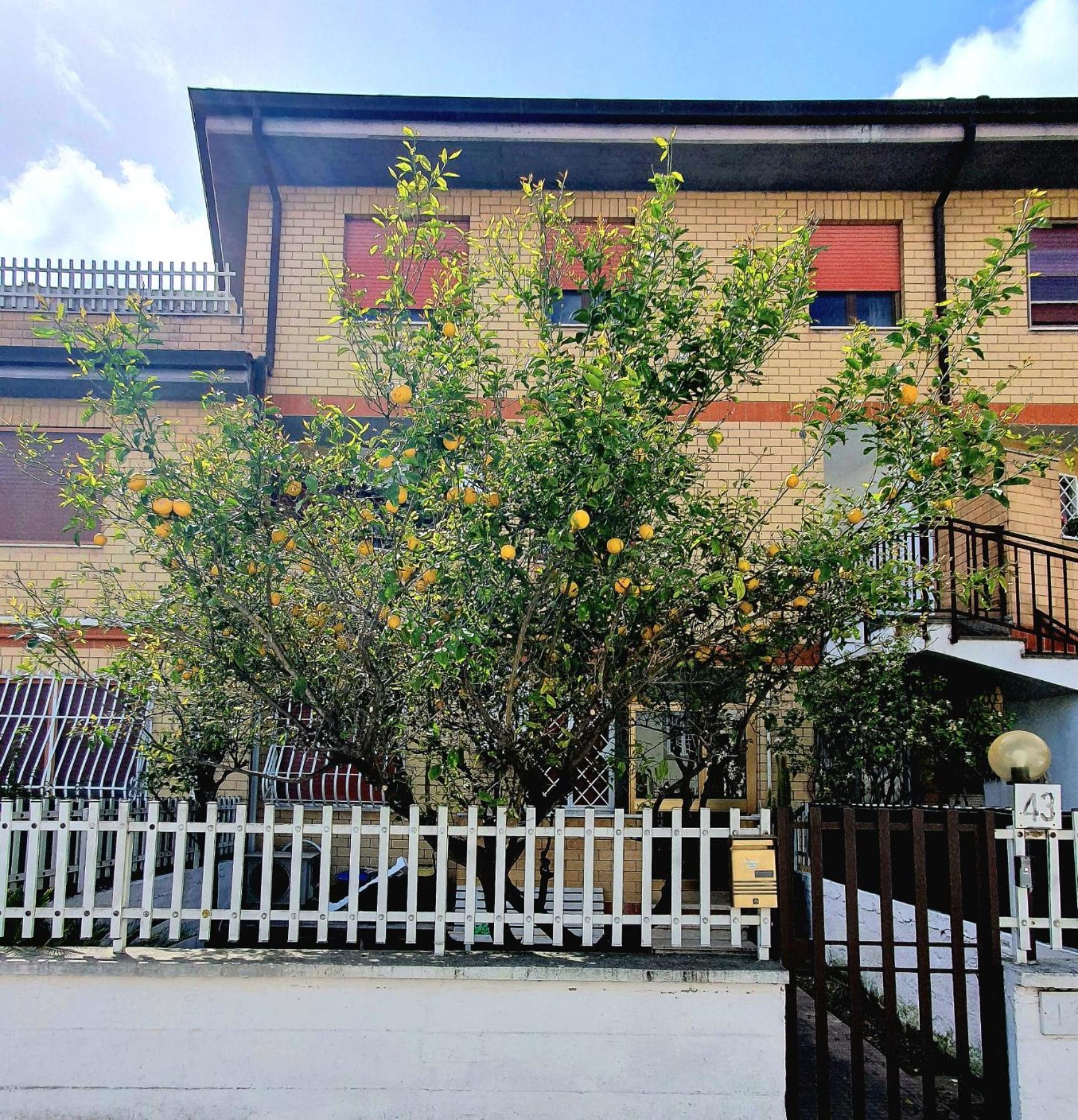 Lemon Tree House Apartment Ostia Antica Luaran gambar